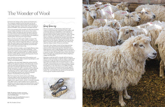 The Wonder of Wool