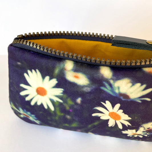 Ox Eye Daisies