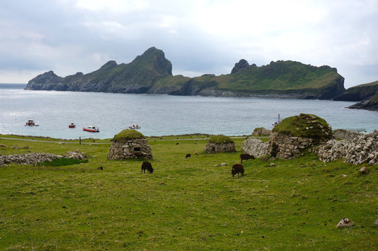St. Kilda trip to meet the Soay sheep