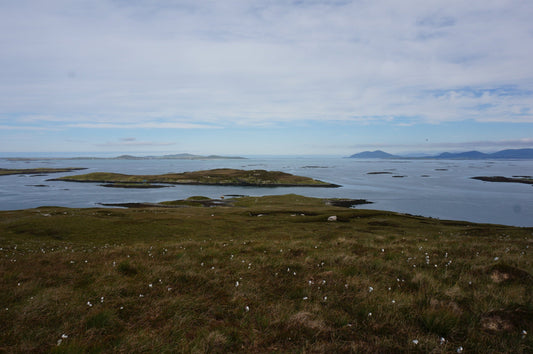 Off Shore Shearing, The Clearances and Australian Emigration