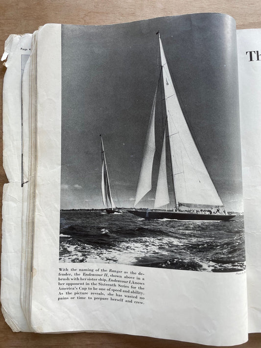 The Endeavour, Angus MacLeod and the America's Cup