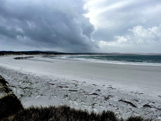 Pauline Prior-Pitt - Poet: women, sea shores and storms, anxieties, love and loss ...