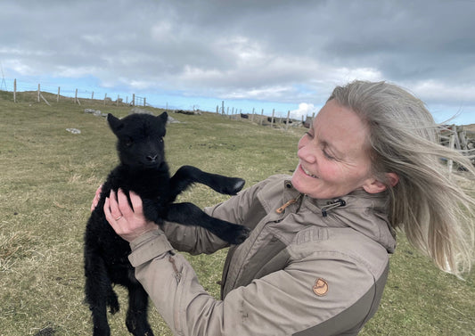 Lambing at 'Cnoc na Grèine' Sunhill croft 2021