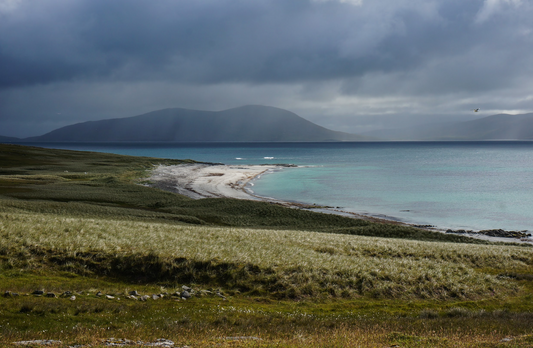 The Woolly Thistles meets The Birlinn Yarn Company