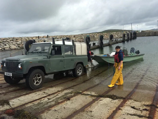 Shearing on the Sound of Harris Islands