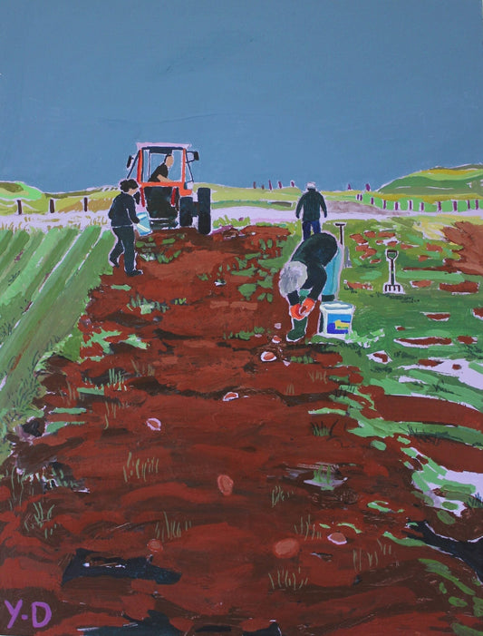Yasmin Davidson Contemporary Landscape Artist: Berneray