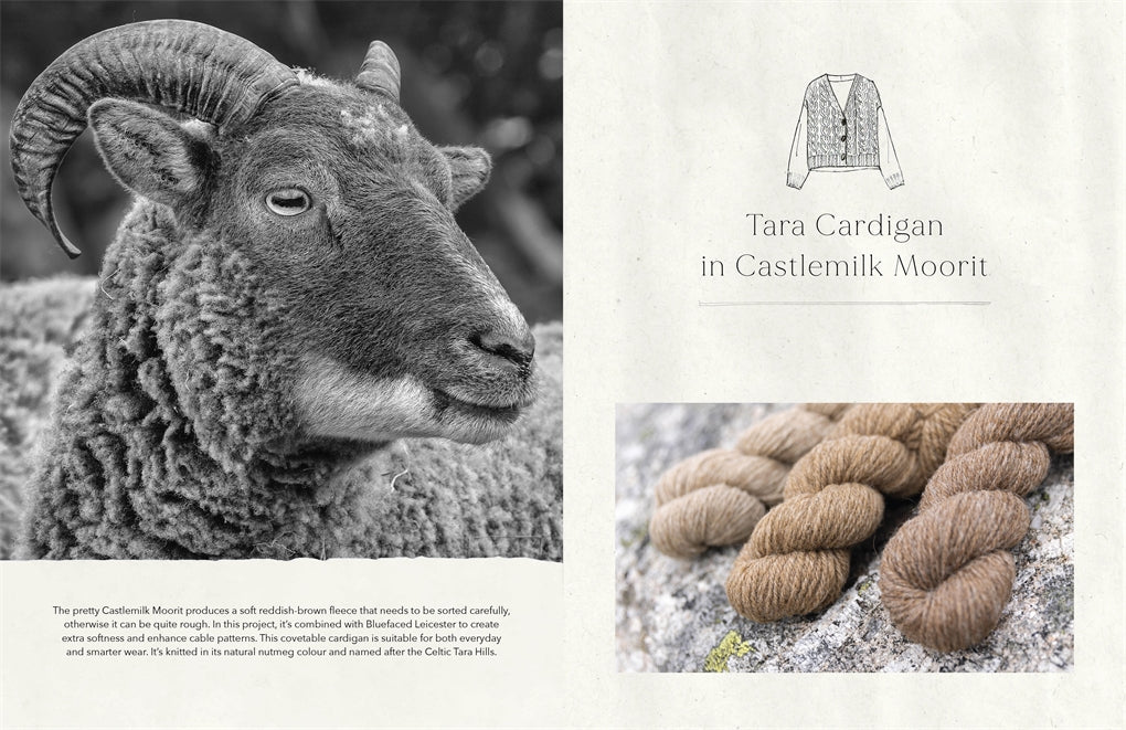 The Wonder of Wool