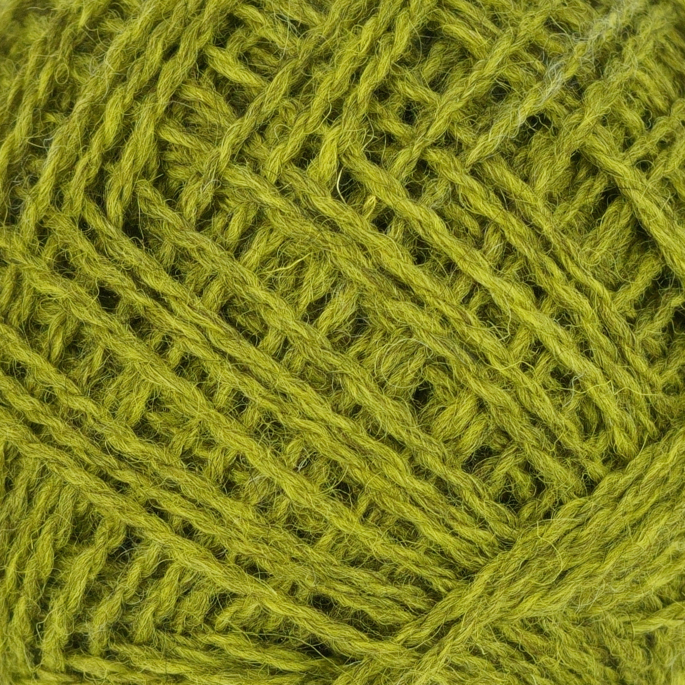Cornmarigold detail shot: a bright green