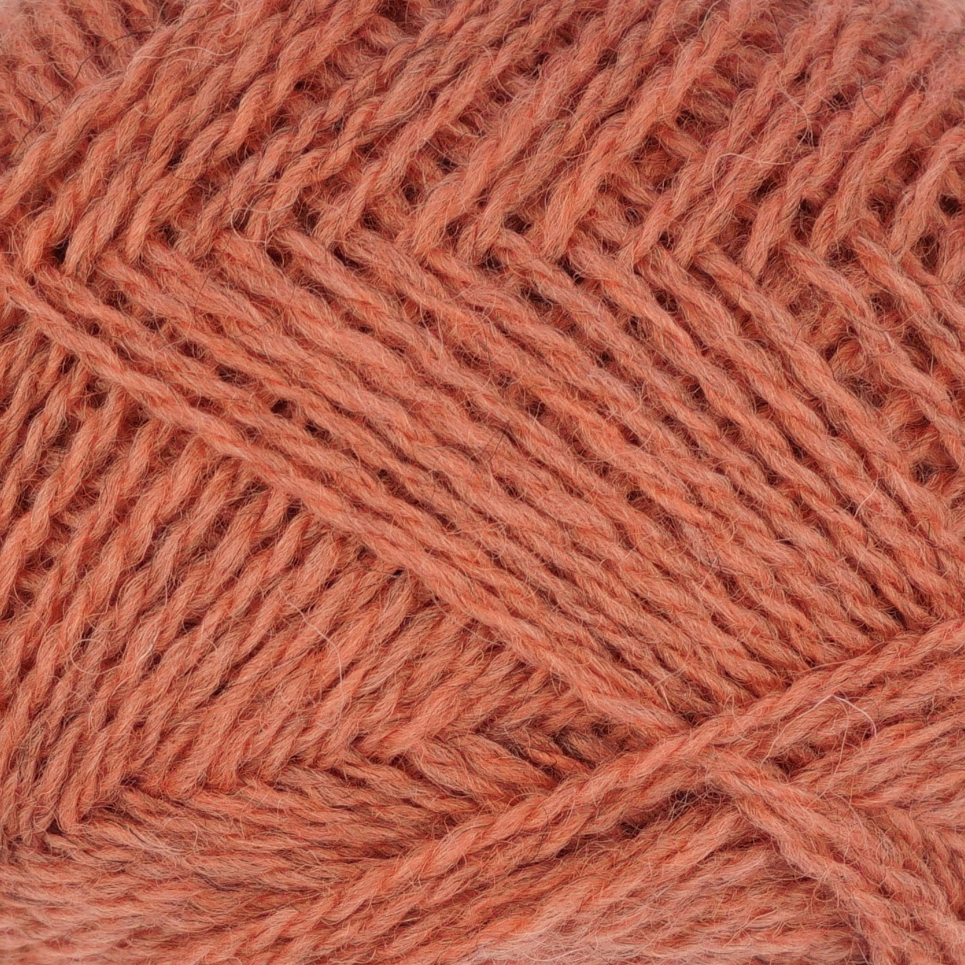 Cowrie detail shot: soft, peachy pink