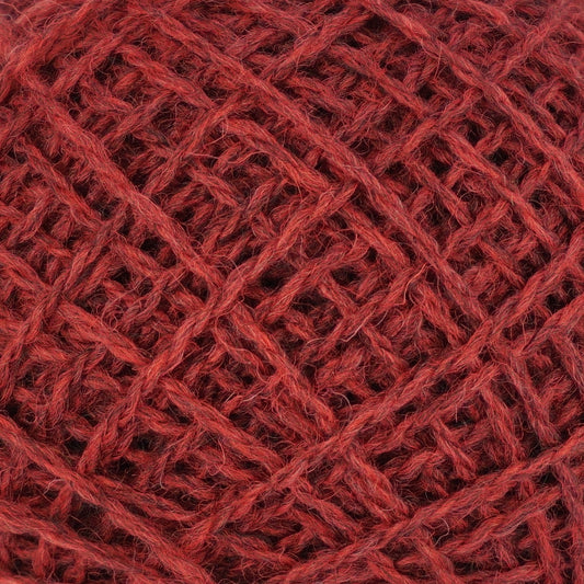 Field Poppy - Crom-Lus