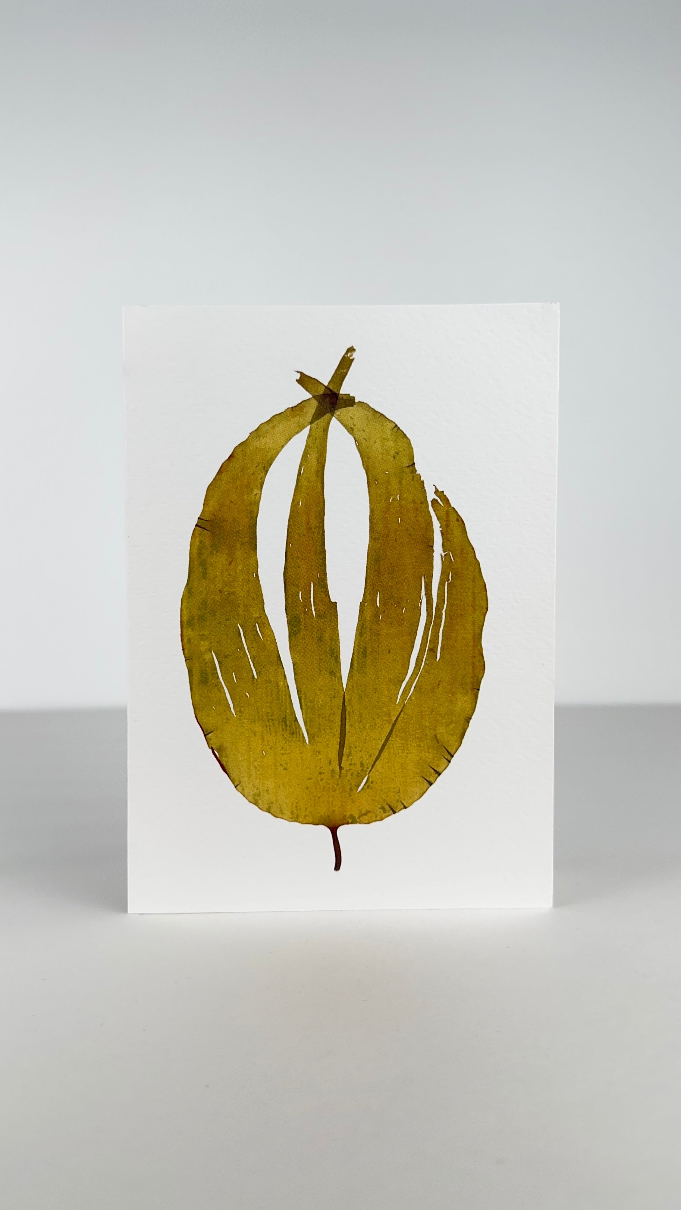 Seaweed Greeting Cards