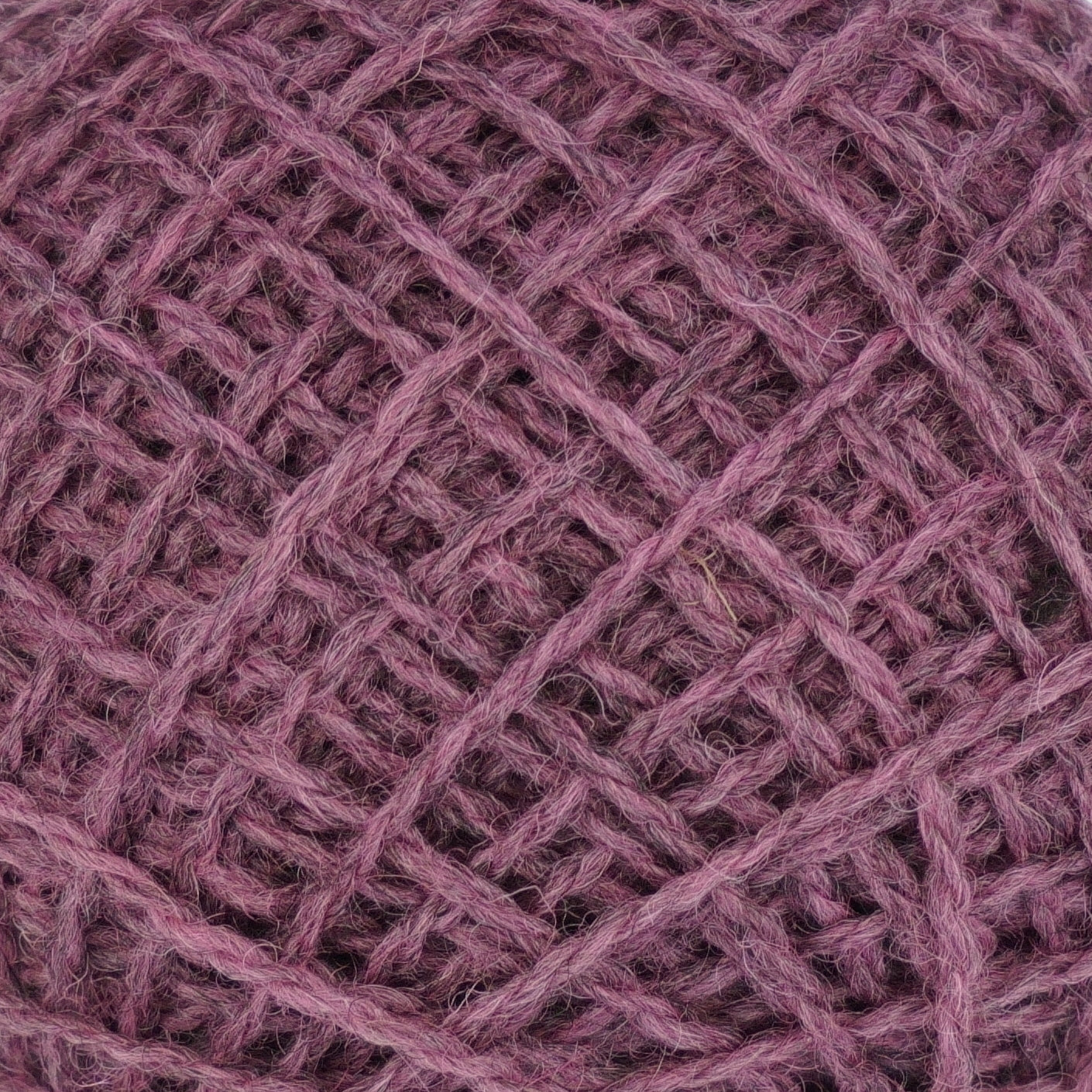 Sea pink - Mìlsean-mara