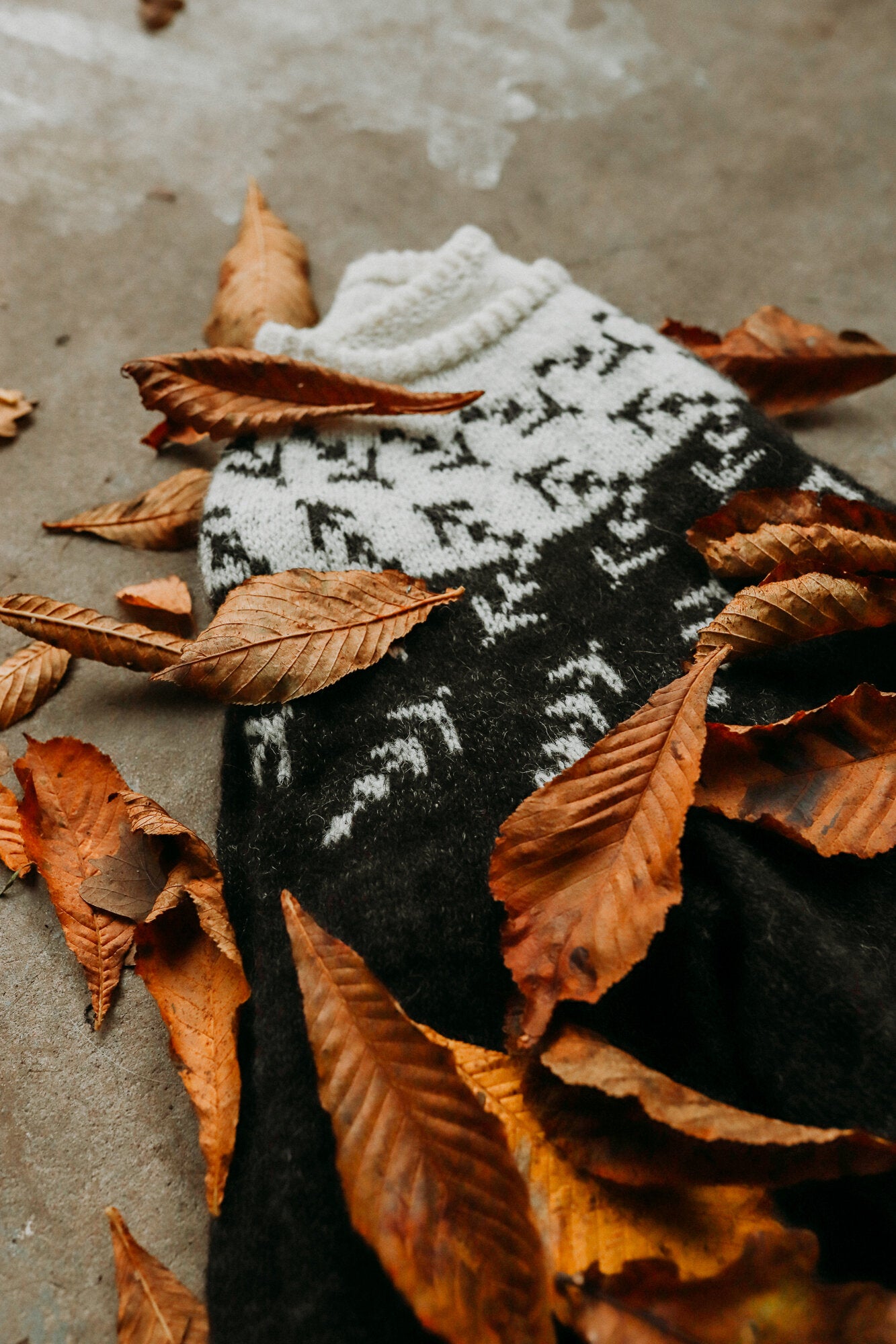 Salix Alba sweater with a circular yoke featuring a pattern resembling arrows or branches. The sweater is on the ground with brown, autumn leaves on it.